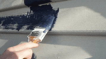 house paints GIF