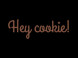 cookiesdoordebus vlaardingen koekjes cookiesdoordebus ijzerkoekjes GIF