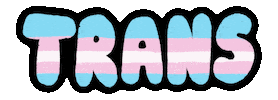 Trans Rights Sticker