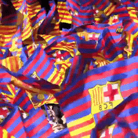 forÃ§abarÃ§a GIF by FC Barcelona
