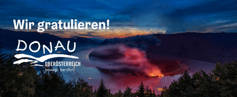 Fireworks Congratulations GIF by Donauregion