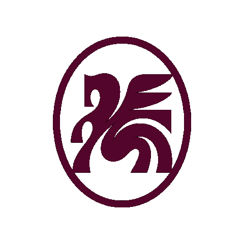 Dallas Trinity FC Sticker