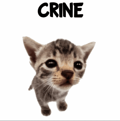 Cat Crine GIF