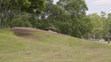 Loans4U GIF