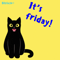 Black Cat Friday GIF by Bitrix24
