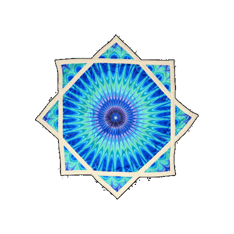 Flow Toys Sticker by spinflowstar