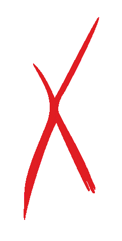 Dance Cat Sticker by CAPAX... tanec na MAX