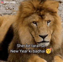 Happy New Year Sher GIF