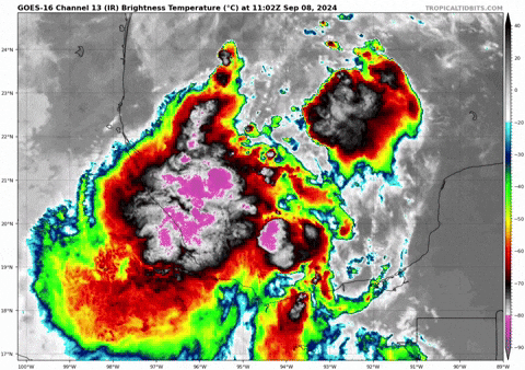 giphy.gif?cid=9b38fe918hm6011g8ltwnbbjee