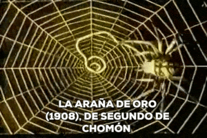 ccemx_  GIF