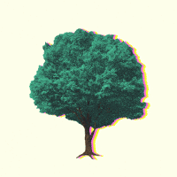Climate Change Tree GIF by NRDC