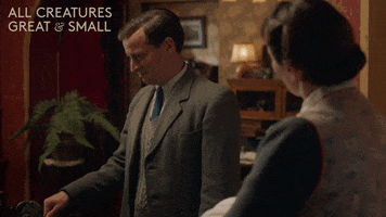 Confused Channel 5 GIF by All Creatures Great And Small