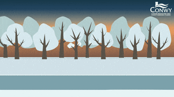 Conwy County Borough Council GIF