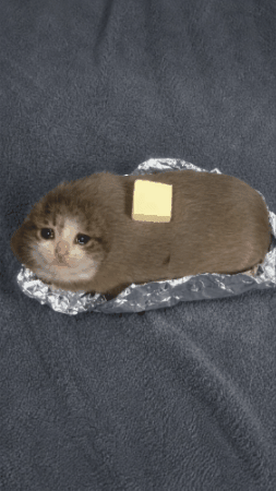 Sad GIF