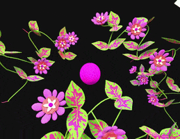 Flowers Plants GIF by franzimpler