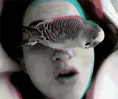 Face Love GIF by Fran Solo