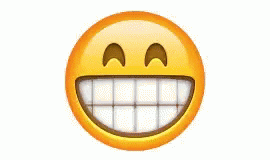 Giphy - Happy Face Smile GIF by swerk
