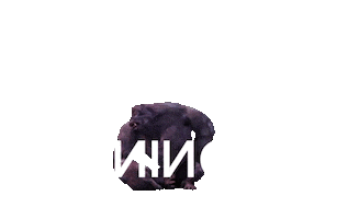 Burning Klan Sticker by The Flow Dance Camp Competition