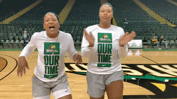 Happy Ncaa Sports GIF by Wright State University Athletics