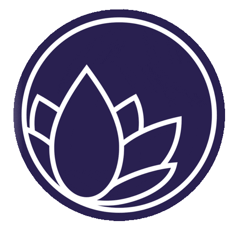 Nanolex Russia Sticker