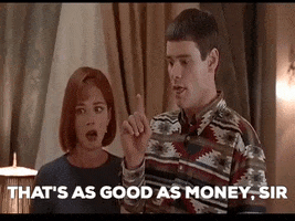 Dumb And Dummer GIF