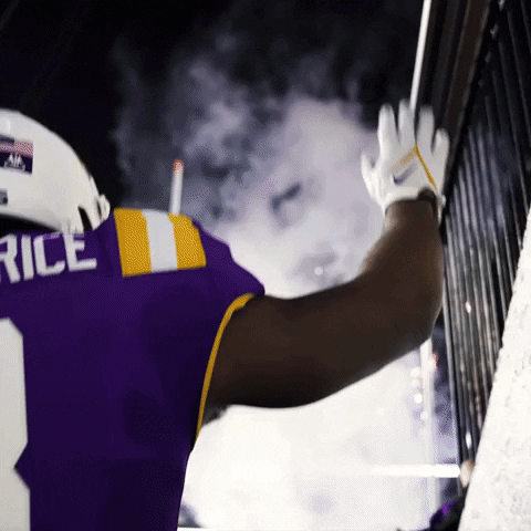 Run Out Death Valley GIF by LSU Tigers