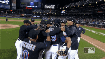 Happy Citi Field GIF by New York Mets