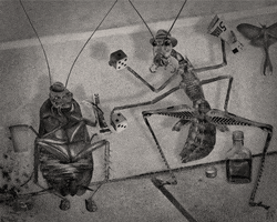 cricket cockroach GIF by Colin Raff