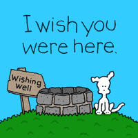 Miss You GIF by Chippy the Dog