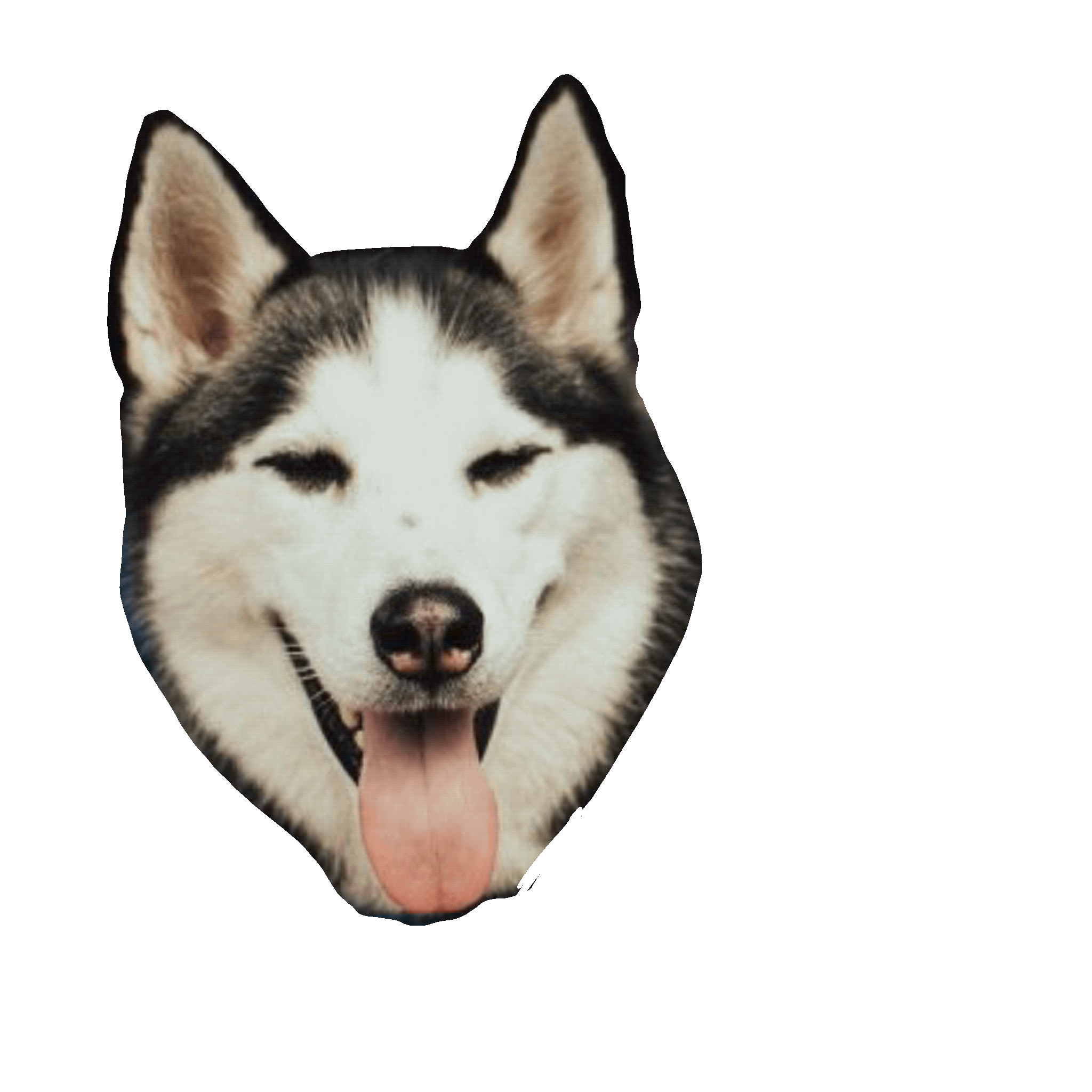 Dog Sticker for iOS & Android GIPHY