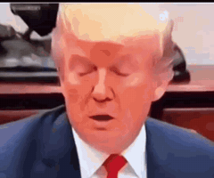 Donald Trump GIF