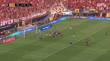 Vice Libertadores GIF