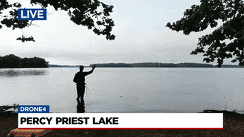 Percy Priest Lake GIF by WSMV  News 4, Nashville