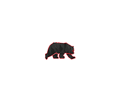 Black Bear Tactical Training Sticker
