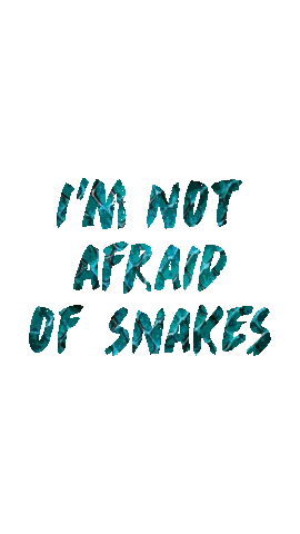 Imperial Riding Sticker