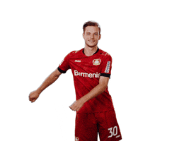 Bayer 04 Dance GIF by Bayer 04 Leverkusen
