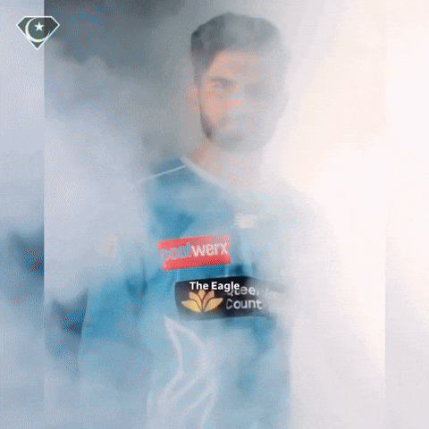 Cricket Ipl GIF