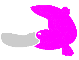 Fun Pink Sticker by Knusperfarben