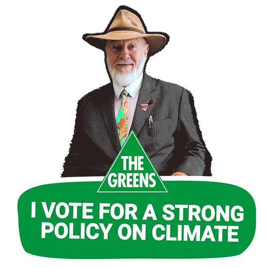 Climate Change Government Sticker by Robin Chapple MLC