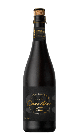 Loïc Raison Sticker