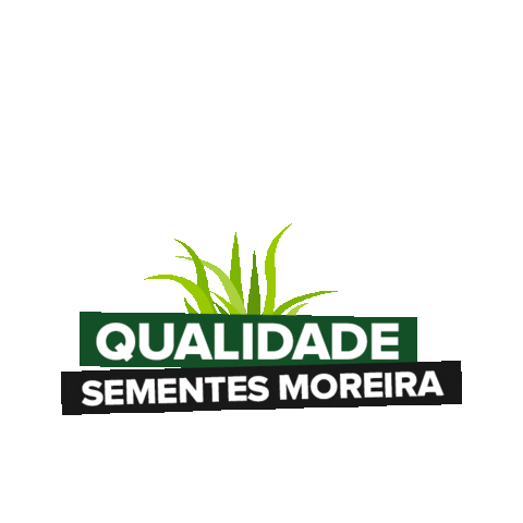 Sementes Moreira Sticker