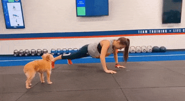F45TrainingRV GIF