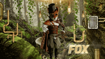 Fox GIF by The Masked Singer