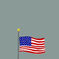 American Flag GIF by INTO ACTION