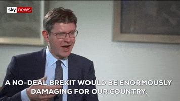 news brexit greg clark a no-deal brexit would be enormously damaging for our country GIF