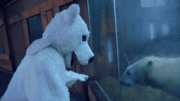 nhbrown  GIF