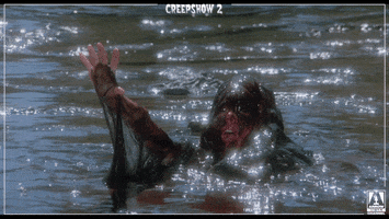 Cant See Stephen King GIF by Arrow Video