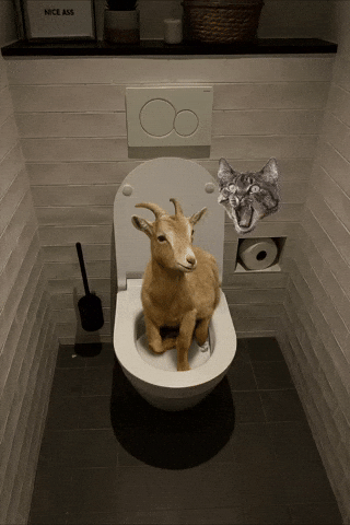 Zuidlaren GIF