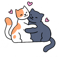 Cats Hug GIF by ruillu