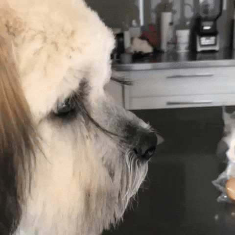 Lashes GIF by NZ Collab